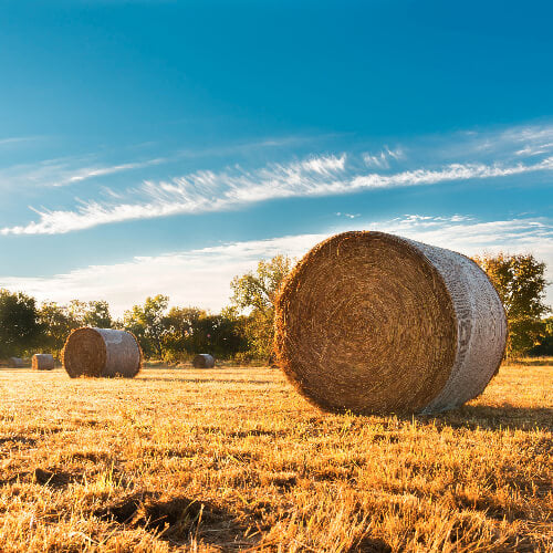 Nebraska Image