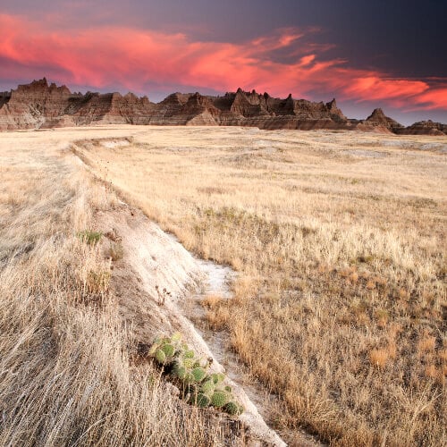 South Dakota Image